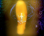 Alexander McQueen Puma